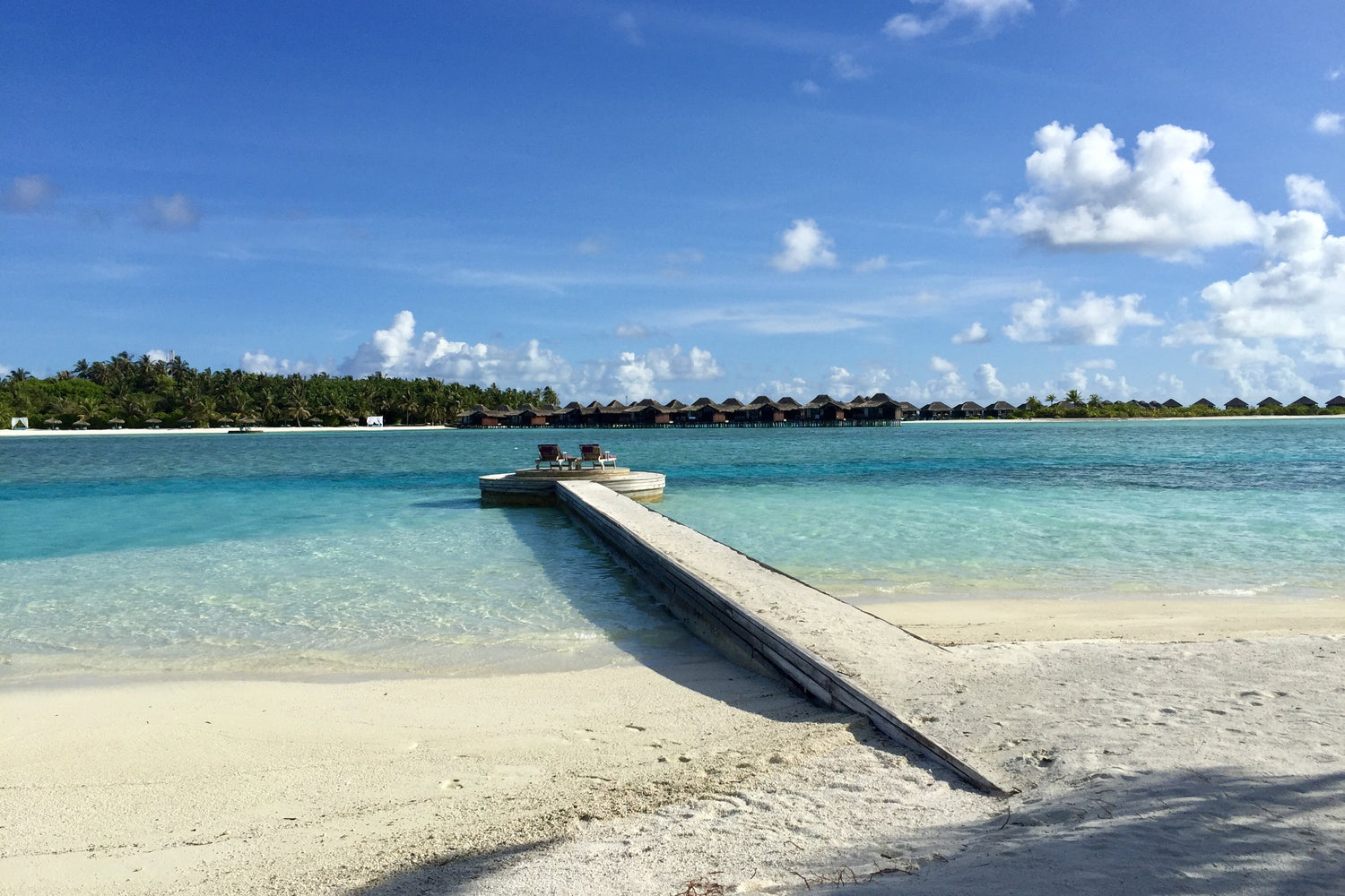 Free Video Call Backgrounds to Make You Feel Like You're Working in The Maldives